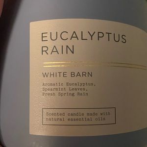 Eucalyptus Rain white Barn candle